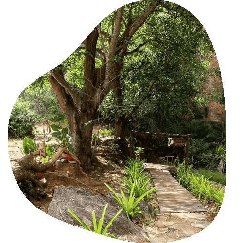 Entrada da Caverna 1